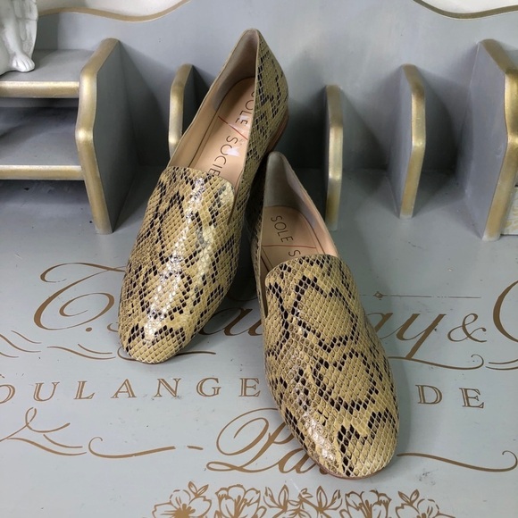 SOLE society snake print Leather shoes - Picture 14 of 15